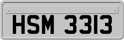 HSM3313