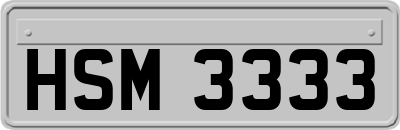 HSM3333