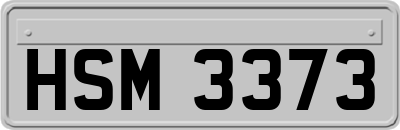 HSM3373