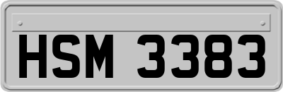 HSM3383