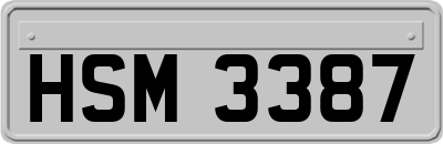 HSM3387