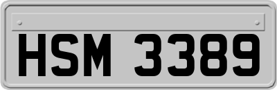 HSM3389