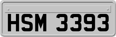 HSM3393