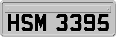 HSM3395