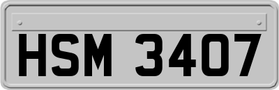 HSM3407