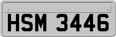 HSM3446
