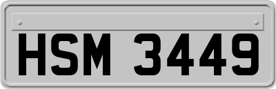 HSM3449