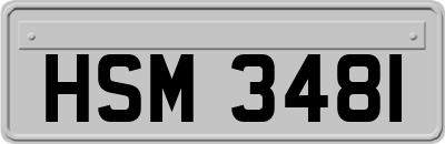 HSM3481