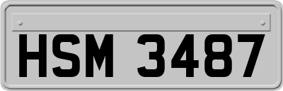 HSM3487