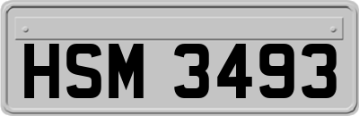 HSM3493