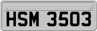 HSM3503
