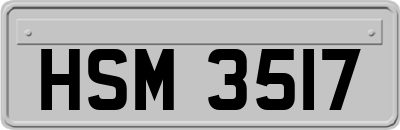 HSM3517
