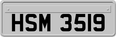HSM3519
