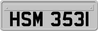 HSM3531