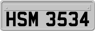 HSM3534