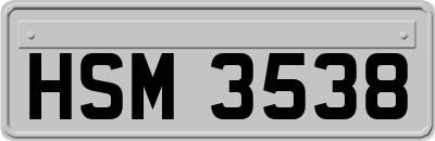 HSM3538