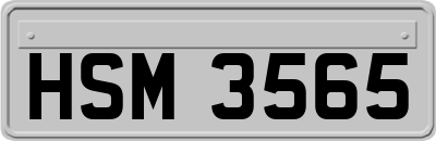 HSM3565