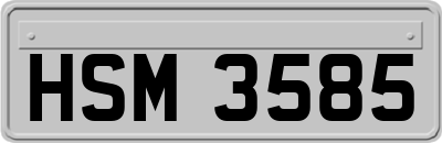 HSM3585