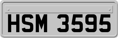 HSM3595