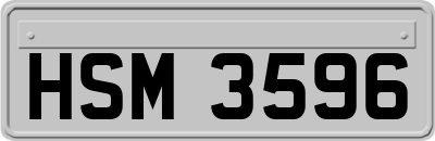 HSM3596