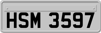 HSM3597