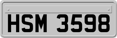 HSM3598