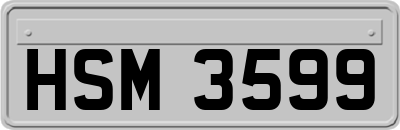 HSM3599