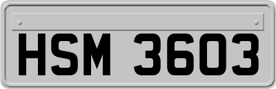 HSM3603