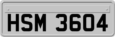 HSM3604