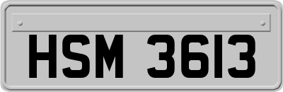 HSM3613