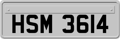 HSM3614