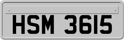 HSM3615