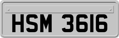 HSM3616