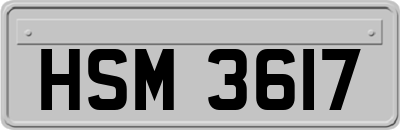 HSM3617