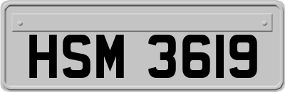 HSM3619