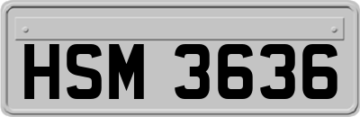 HSM3636