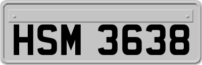 HSM3638