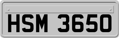 HSM3650