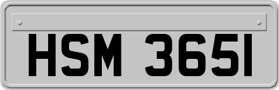 HSM3651