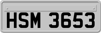 HSM3653