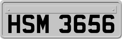 HSM3656