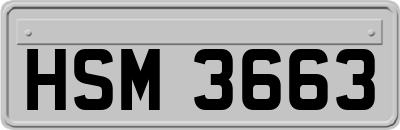 HSM3663