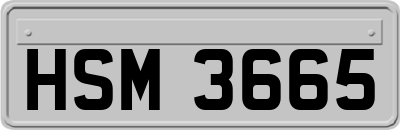 HSM3665