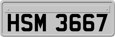 HSM3667