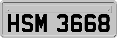 HSM3668