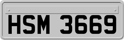 HSM3669