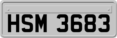 HSM3683