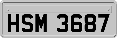 HSM3687