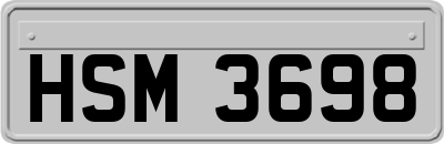 HSM3698