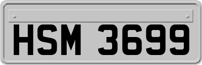HSM3699